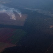 Malaysia: Deforestation for Agriculture Malaysia: Deforestation for Agriculture